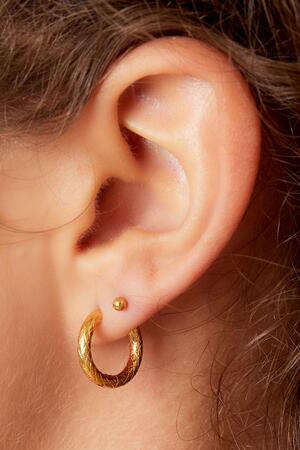 Stainless steel hoop earrings Gold h5 Picture2